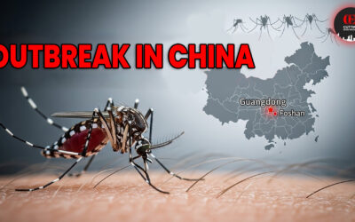Chikungunya Outbreak in China A Painful Reminder of the Global Mosquito Threat