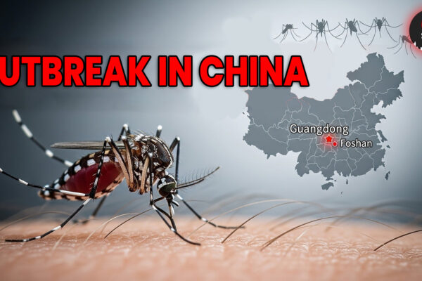 Chikungunya Outbreak in China A Painful Reminder of the Global Mosquito Threat